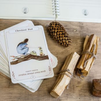 cards-packshot2